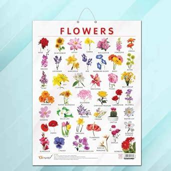 Buy FLOWERS CHART GLOSS LAMINATED |Flower Wonderland: Glossy ...
