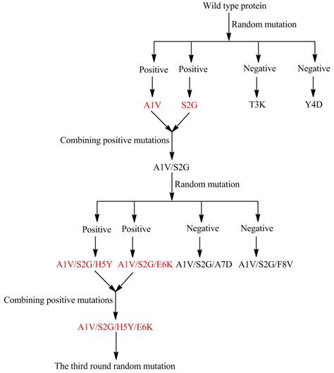 Marine Microbiological Enzymes: Studies with Multiple Strategies and ...