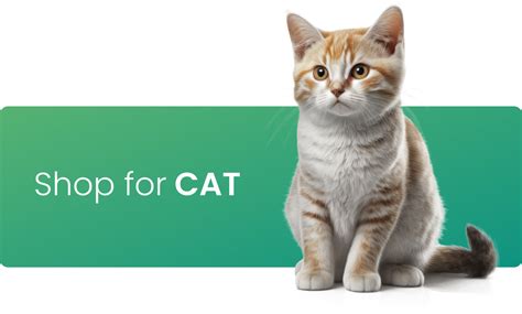 Adils- Buy Online Pet Supplies | Premium Pet care Products