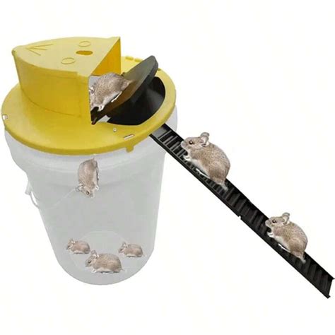 Image result for Mouse Bucket Device