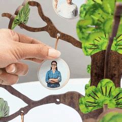DIY Family Tree For Kids with Model Kit I 8 to 10 Year Kid – Mittimate