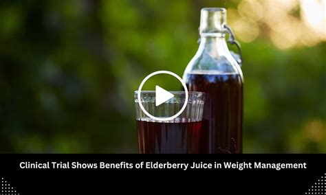 Clinical Trial Shows Benefits of Elderberry Juice in Weight Management