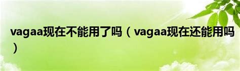 Vagaa哇嘎官网下载 v2.6.5绿色版--系统之家