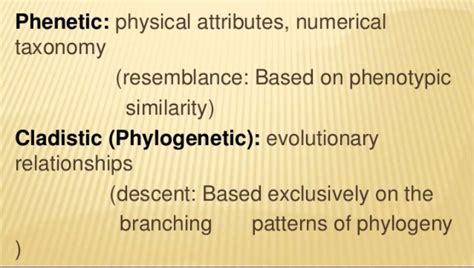 describe in details the phenetic and cladistic system of plants ...