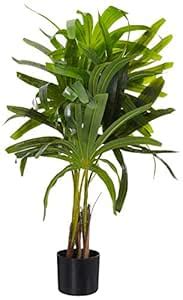 Buy Fourwalls Real Touch Artificial Rhapis Palm Plant with Pot for Home ...