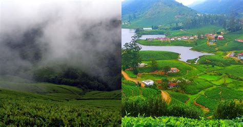 Head To The Cloud-Covered Mountains Of Meghamalai For A Trip To The Tea ...