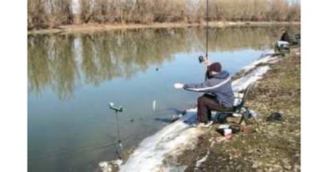Zimsko feeder krštenje