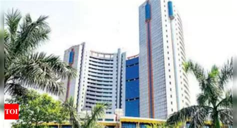 Pet peeve: Municipal Corporation of Delhi says it has no plan to ban ...