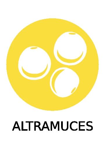 Carta Restaurante | Valencia De Don Juan