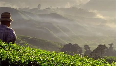 SEDEX platform and SMETA audits