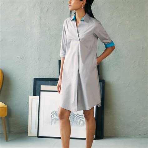 Smoke Stone Dress | Collared A-Line Dress with Back Pleat – Canoopi