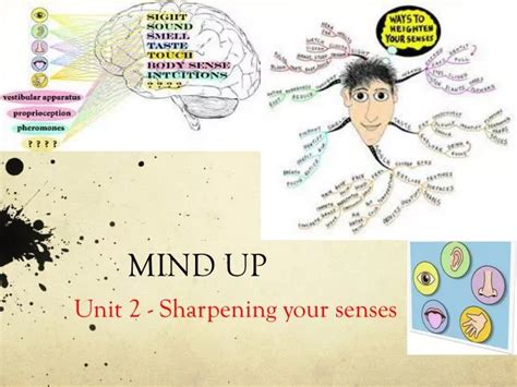 Image result for Tutorials Mind Up