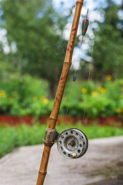 How To Display Antique Fishing Rods at Paul Boldt blog