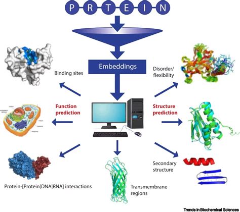 AN EMPIRICAL SCIENCE RESEARCH ON BIOINFORMATICS IN MACHINE LEARNING – JOURNAL OF MECHANICS OF CONTINUA AND MATHEMATICAL SCIENCES