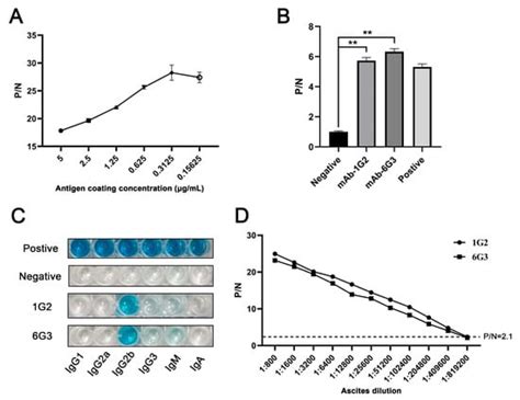 Identification of a New Conserved Antigenic Epitope by Specific ...