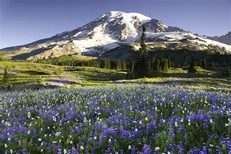 The Best Time To Visit Washington State at Roger Burgess blog