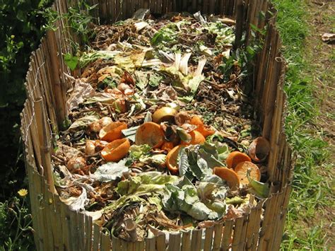 Composting - Environment Notes