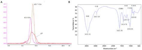 Soluble Polysaccharide Derived from Laminaria japonica Attenuates ...