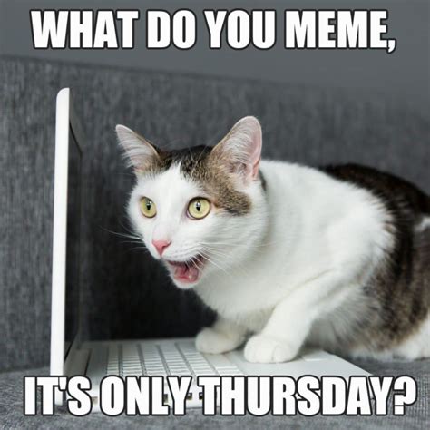 18 Funny Thursday Memes To Make You LOL