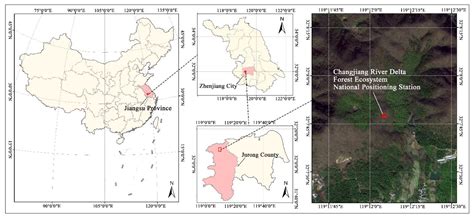 Photosynthetic Processes and Light Response Model Fitting of Quercus ...