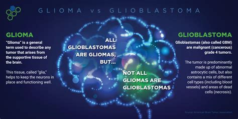 Understanding Glioblastoma: Symptoms, Treatment Options, and Prognosis | Ivy Brain Tumor Center