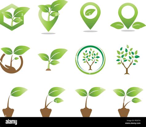 Plant Logo Design