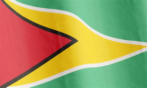 Download Guyana National Flag Wallpaper | Wallpapers.com