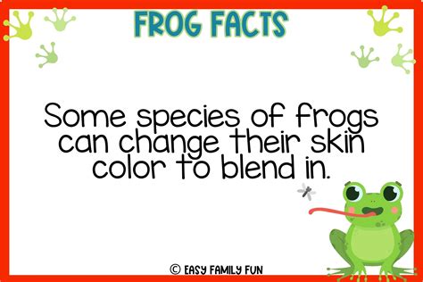 What Are Facts About Frogs at Kathleen Perry blog