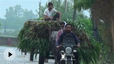 The Youth Of Haryana Are Leaving The Country After Selling Their Land ...