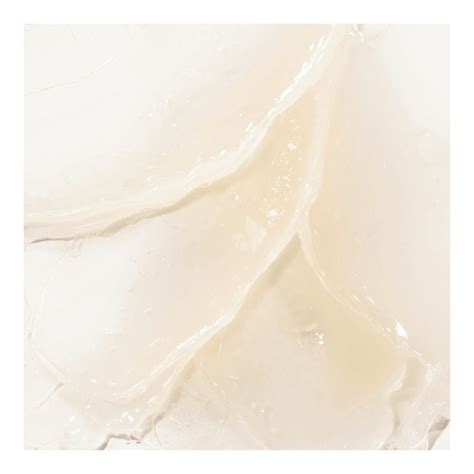 Squalane + Rose Vegan Lip Balm • 15g