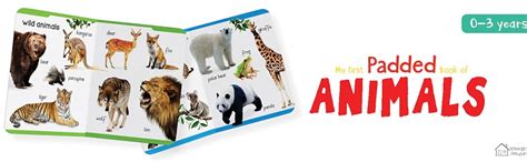 My First Padded Book of Animals: Early Learning Board Book for Kids ...