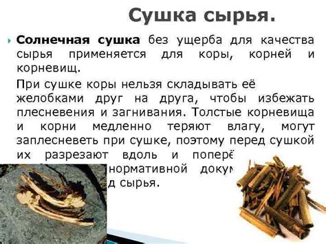 Лекция 1. Общие правила заготовки лекарственного растительного сырья.