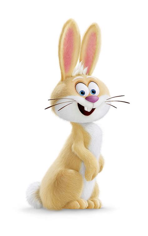 Image result for Bucky Python