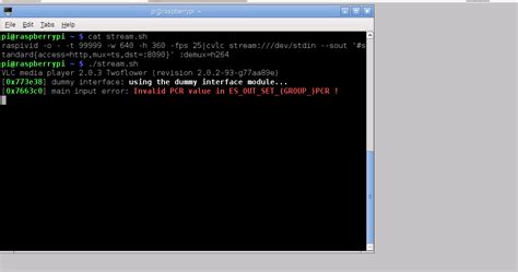 Raspberry Pi Video Stream 的图像结果