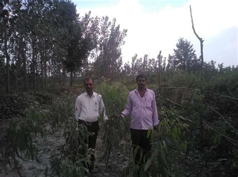 पर्यावरण संरक्षण को रामनाथ ने अर्पित किया पूरा जीवन, पौधरोपण के लिए ...