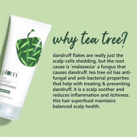Buy PLUM TEA TREE DANDRUFF CLEAR CONDITIONER - 200 ML Online & Get Upto ...