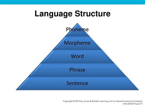 Language Systems Chart 的图像结果