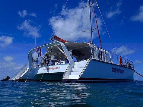 REEF DAYTRIPPER (2026) All You Need to Know BEFORE You Go (with Photos ...