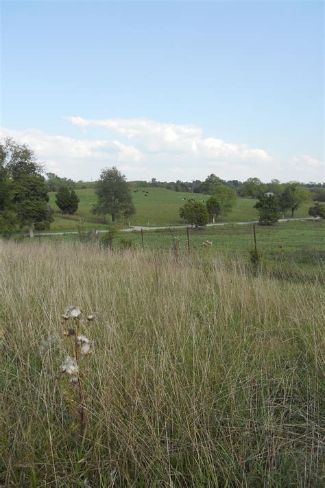 Elevation of Gravel Switch Rd, Gravel Switch, KY, USA - Topographic Map ...