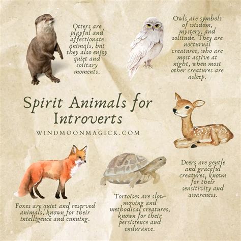 Pin by Nicole Monforti on Magick book in 2025 | Spirit animal, Animal ...