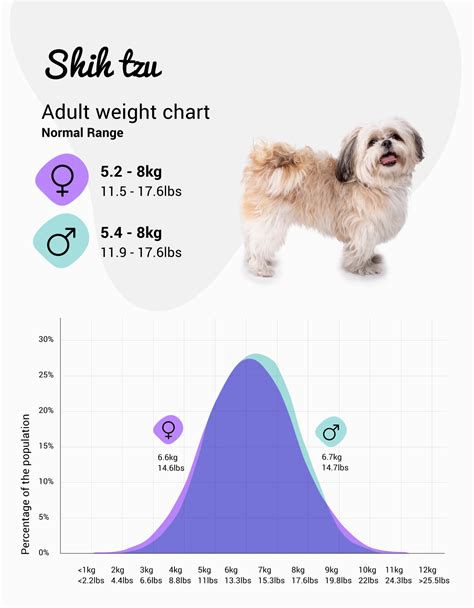 Poodle Puppy Weight Chart Royal Canin Breed Health Nutrition Poodle