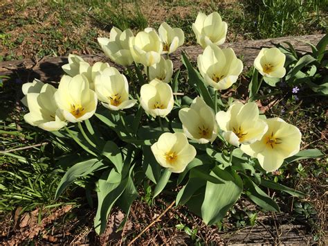 Image result for Torah Study