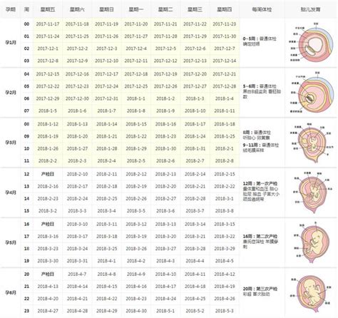 验孕棒一深一浅图解 正确(测早孕显示“一深一浅”，是怀上还是没怀上？） | 说明书网