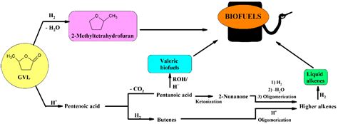 Biomass Waste as Sustainable Raw Material for Energy and Fuels