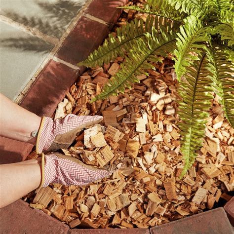 3-cu ft Natural Cedar 100% Cedar Chips Mulch N/A at Lowes.com