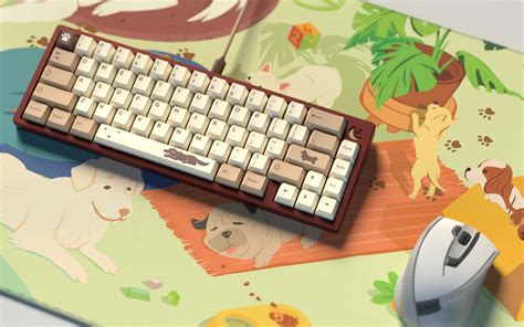 Mechanical vs Membrane Keyboards: Lifespan Compared