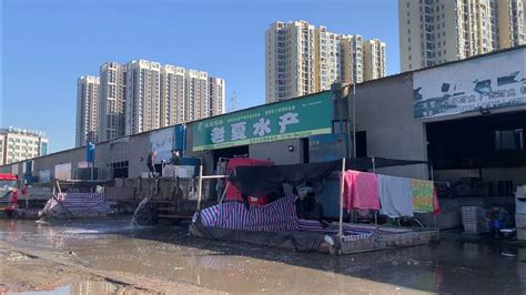湖北荆州水产市场，一车鱼，渔民能赚好几万，还是做买卖赚钱快 - YouTube