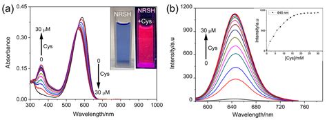 Nile-Red-Based Fluorescence Probe for Selective Detection of Biothiols ...