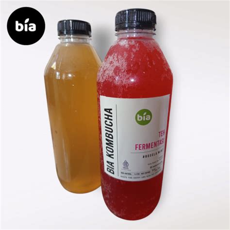Jual Bia Kombucha minuman probiotik 1 liter botol plastik - temulawak ...
