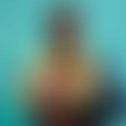 Florida Modeling Network 的图像结果